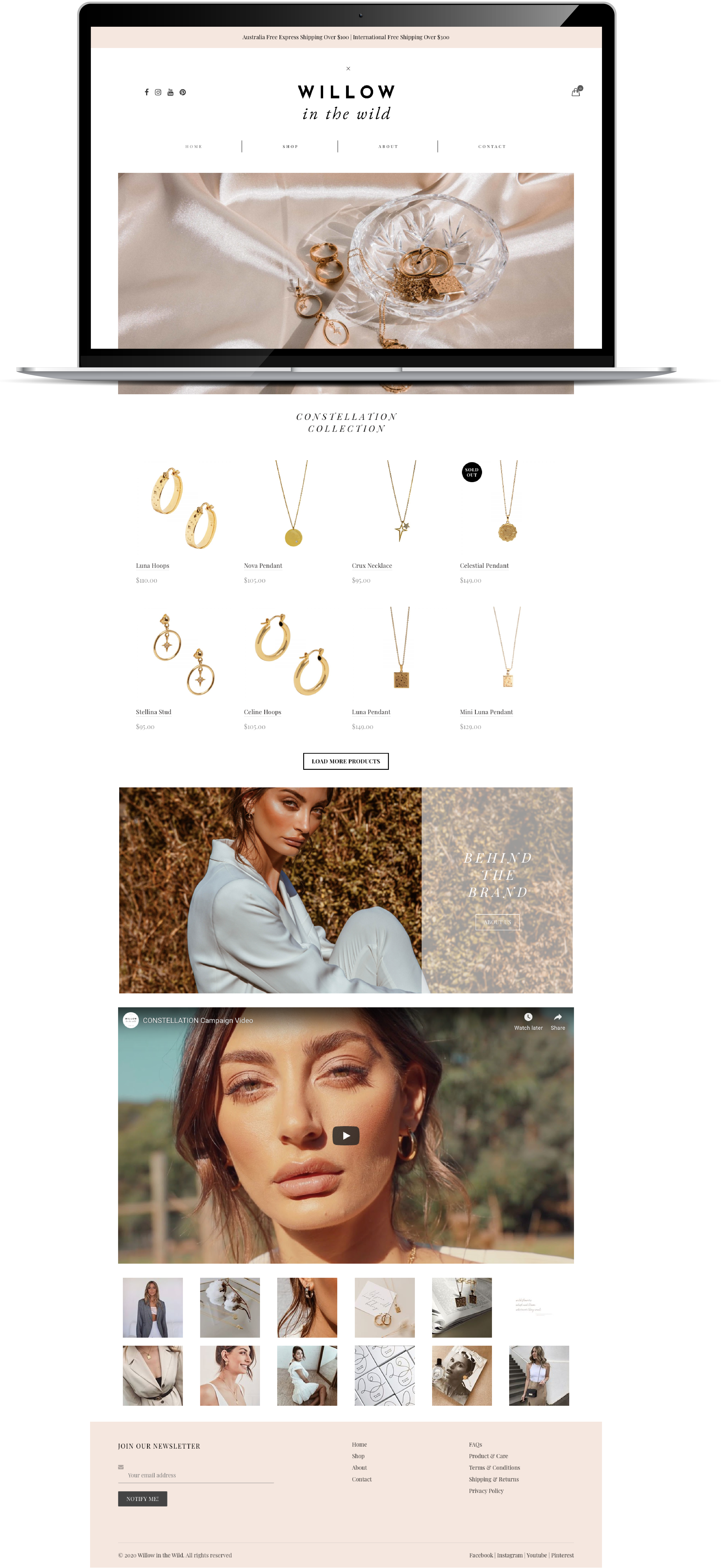 Willow in the Wild Website Project 2019